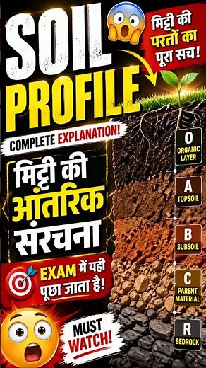 What is Soil Profile | Soil Layers Explained