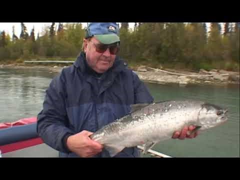 Silver Salmon Fishing on the Kenai River