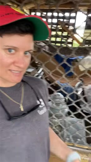 Tree house tour🌳 | Abbyinthegalley