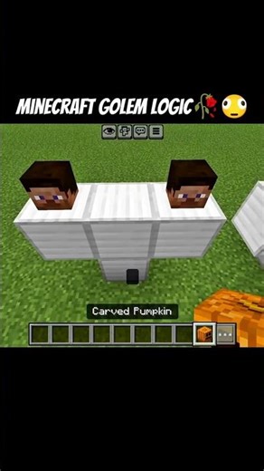 I Found a Weird Iron Golem Bug 😱💀 #minecraft
