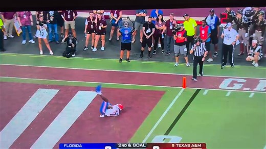 2.9K views · 28 reactions |  Florida Gator Highlights & Memories From The Swamp to the spotlight — once a Gator, always a Gator. 李 #GatorWaves #GoGators #GatorNation #TheSwamp #FloridaGators #GatorPride #SEC | Gator Waves | Facebook