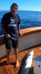 19K views · 159 reactions | How to Fillet a Striped Marlin! - Part 1 Your Saltwater Guide is Sponsored by Fishing Booker. | Your Saltwater Guide | Facebook