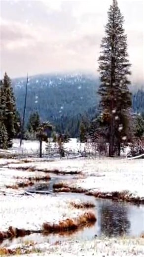 Dill kia kare #bollywood #hindisong #love #imotional #viwe #shorts