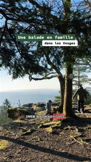 Emilie Richard 🌲🥾 RANDO BIVOUAC AVENTURE on Instagram: "🥾 Randonnée en famille aux Cuveaux – Éloyes (Vosges) 🌲 Envie d’une rando accessible aux enfants, loin des sentiers trop touristiques ? Les Cuveaux à Éloyes sont une super idée pour une sortie nature en famille 👨‍👩‍👧‍👦 📍 Départ : Éloyes ⏱️ Durée : environ 2h (boucle, selon le rythme) 📏 Distance : ~4 km 👶 Ok enfants 🥾 Chaussures de randonnée obligatoires (sentier caillouteux) 🌲 Parcours : alternance de route et de chemins foresti