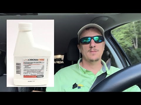 Crossfire - The Best Bed Bug Solution & How It Works