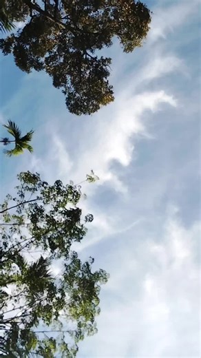 fani (@tifani2017fan1)’s videos with bunyi asal - 绿色图 - 😊