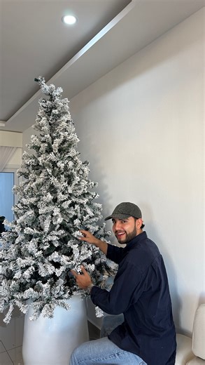 Derick Molina on Instagram: "¿Cómo sostenemos los árboles dentro de las maceteras? La pregunta del millón… y hoy te muestro cómo lo hacemos nosotros 🤍✨ Nada de complicarse: improvisamos una base fundida de cemento con un tubo al centro (el truco está en asegurarte que el tubo del árbol encaje perfecto). Luego colocamos esa base dentro de la macetera y la rellenamos con grava para darle firmeza total. Y listo… un árbol estable, seguro y precioso. Y el árbol… bueno, él solito se luce. Un champán 