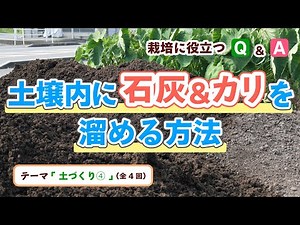 土壌の保持力（CEC）を高めて石灰・カリを溜める方法を専門家が解説！【テーマ：土づくり④】
