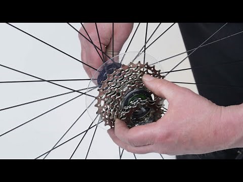 Remove A Bike Wheel's Cassette
