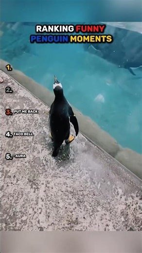 Ranking FUNNIEST PENGUIN Moments!!