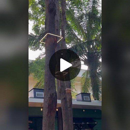 Tropical Outdoor Dining Experience at Lively Restaurant