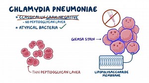 Video: Chlamydia pneumoniae - Video Explanation! | Osmosis | Osmosis