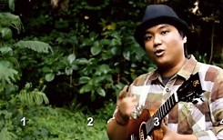 Basic Ukulele Fingerpicking Course - Ukulele Underground