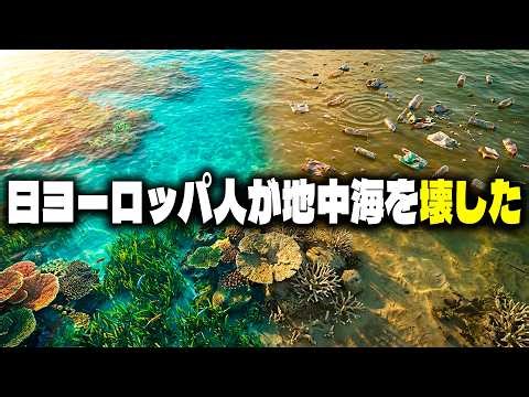 世界一美しい海なのに、なぜ世界一汚染されているのか？
