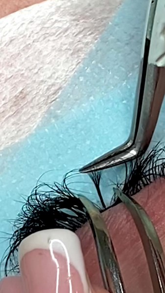 volume lashes #lashapplicationtutorial #nolashapplicationvolumelashesextensions #handmadefans