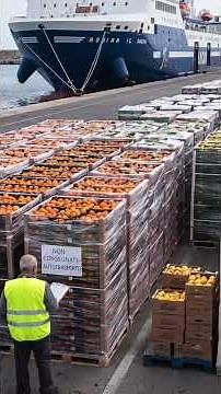 News - Road haulage headed for a nationwide lockdown. Will everything come to a halt starting May...
