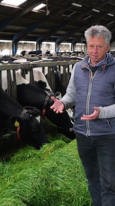 638K views · 17K reactions | FULL video on Maksi Grass from Denmark is available to watch NOW! Jørgen highlights the benefits of using fresh grass and how it can help you on your farm. #grasstechnology #creatingnewstandards | Grass Technology | Facebook