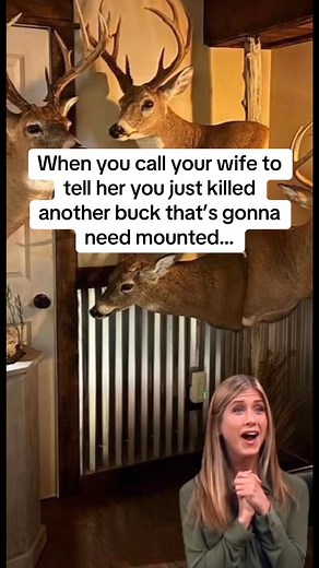 They love a new piece of decor! | Nelson Creek Outdoors LLC