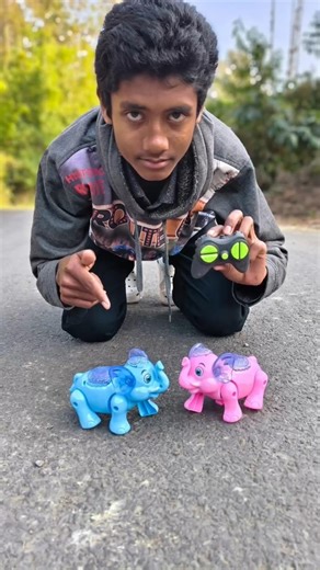 New mini remote control 2 ta elephant unboxing and review test