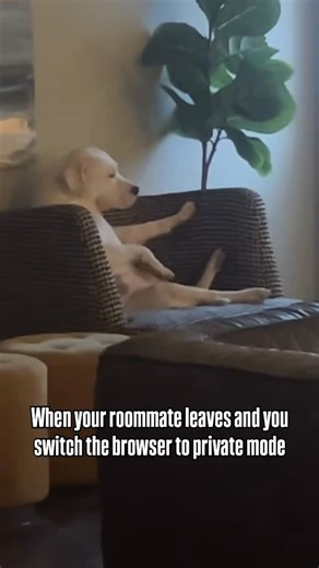 Barstool Sports on Instagram: "In broad daylight (jziuh/tt)"