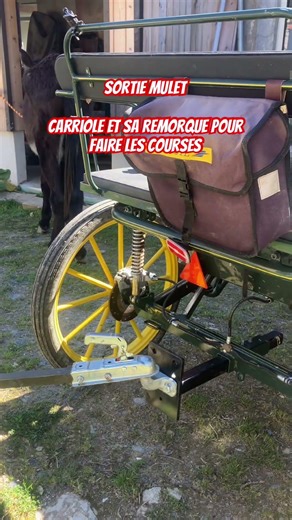 Rouler sans carburant. Comment aller faire les courses et vider les poubelles en attelage. #lowtech