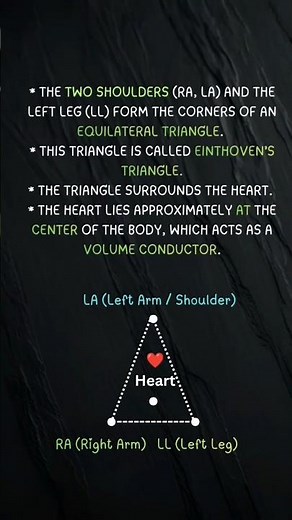 Einthoven’s Triangle Explained Simply | Basics ⚡ 🩺#ecg #ytshorts
