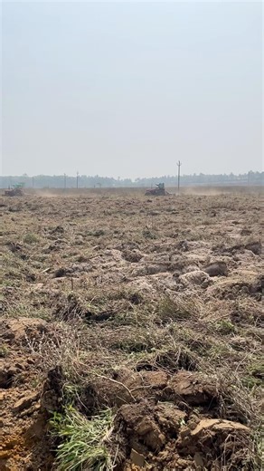 4th consecutive year cultivation of Salpem lake fields Navelim Salcete Goa.