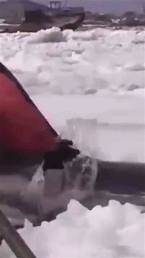 Brave Rescuers Helping Animals in Unbelievable Situations