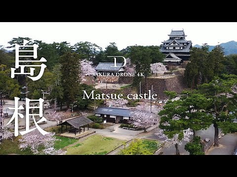 [桜ドローン撮影4K] 島根県松江市松江城とソメイヨシノ｜桜ドローンプロジェクト