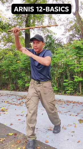 1.2K views · 308 reactions | ARNIS 12 BASICS #arnis #filipinomartialarts #basics #twelve | Ronel Alcaraz | Facebook