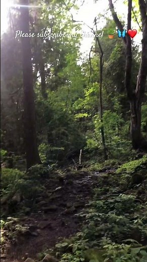 #nature #sunflower #trekking #birds #viral #subscribe #canada #punjab #shorts #goal #1000subscriber