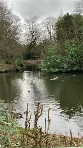 Birkenhead park lake #outdoors #explorepage #wirral #viral
