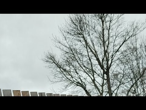 Live POV City Driving 🚗 Real Time Dashcam Drive Through the City | Relaxing Urban Drive