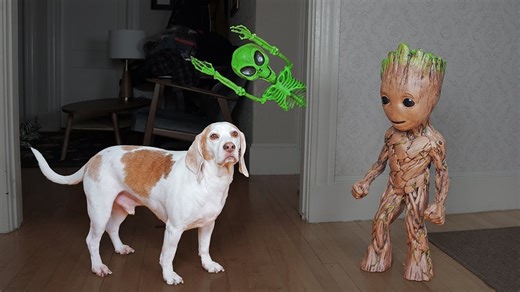 Groot Saves Dogs from Alien Skeleton in Epic Adventure