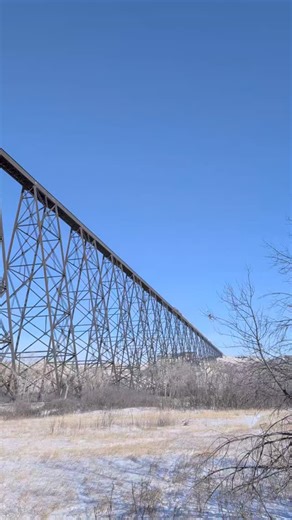 Saw the Lethbridge bridge today! First time. They were nice enough to send a train over it too. No idea what kind of train. A cool one. The Lethbridge Viaduct, commonly known as the High Level Bridge, is a railway trestle bridge over the Oldman River in Lethbridge, Alberta, Canada. Constructed between 1907 and 1909 by the Canadian Pacific Railway, it is the largest railway structure in Canada and the largest of its type in the world, and is still regularly maintained and used over a century sinc