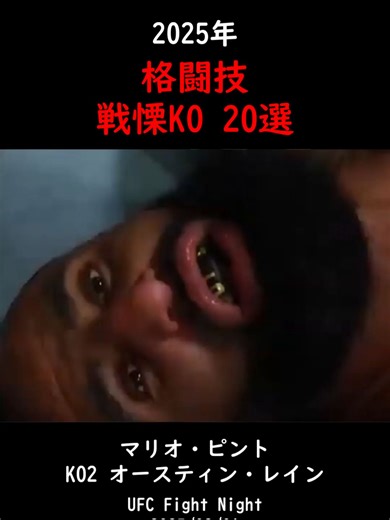 2025年の総合格闘技KOシーン20選