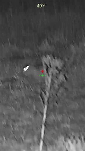 49 yard rabbit head shot with the fx impact mk1 and @dnt_optics v1 5x20lrf scope #fximpact #pests