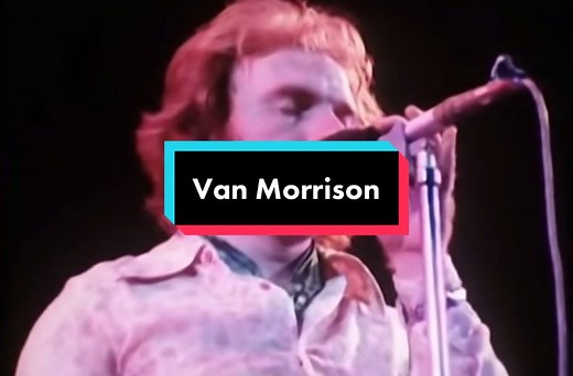 Moondance by Van Morrison Live Performance