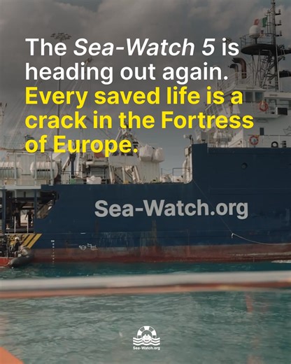 12K views · 363 reactions | Über 800 Menschen sind allein 2025 im...