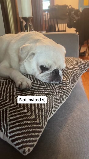 Why Smokey wasn't invited to the barbecue