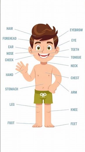 #BrainPopDaily #learnenglish #bodypartsname