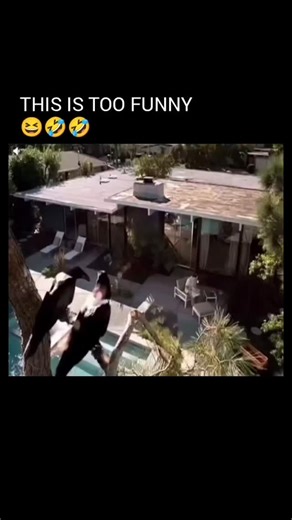 WinSports on Instagram: ""Do you know someone like this? 😄 Looney Tunes: Back in Action (2003) is a fast, self-aware mashup of live-action comedy and classic cartoon chaos. Bugs Bunny, Daffy Duck, and the Looney Tunes crew team up with humans DJ and Kate on a globe-trotting mission to stop the evil Acme Corporation and rescue DJ’s spy father. It’s packed with slapstick, meta jokes, and throwbacks for longtime fans""