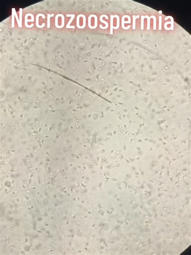 Understanding the Role of Pathologists in Healthcare