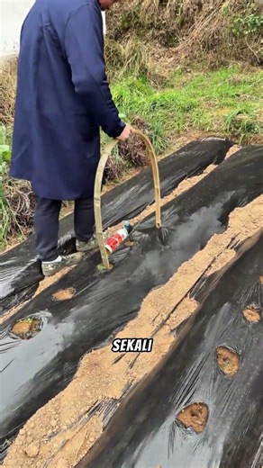 Smart farmer hack for punching mulch holes with a gas torch. #smarttrick #farming #gardeningtips ...