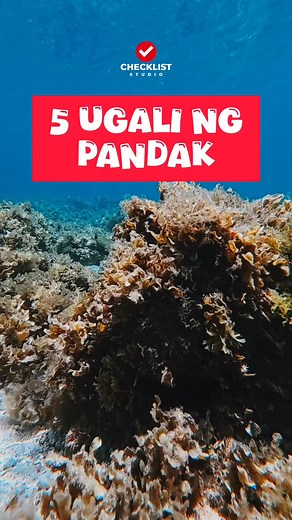 1.2M views · 6K reactions | 5 Ugali ng mga PANDAK #fblifestyle #reelschallenge #trend #trendingreels #reelsvideoシ #reelschallenge #reelsvideo #virals #viralreels #forawarenessonly | Checklist Studio | Facebook