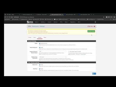 Starlink VPN using PFsense Router