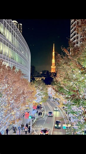 Tokyo Tower to Roppongi Lights for FREE??? #yesclass #trivia #travel #japan #tokyo #budgettravel