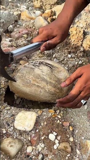 “You Won’t Believe What’s Inside This Rock… 😱💜 #Satisfying”