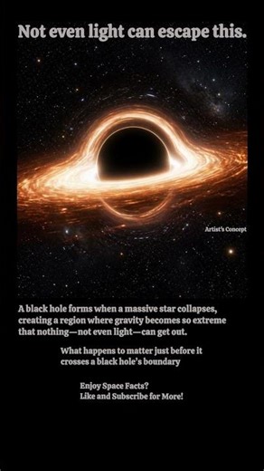 Black Holes: Where Gravity Becomes Inescapable
