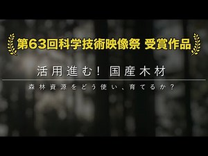 活用進む!国産木材 森林資源をどう使い、育てるか？ | ガリレオX第225回